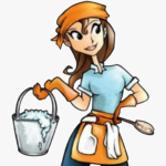 THE CLEANING CAVALIERS